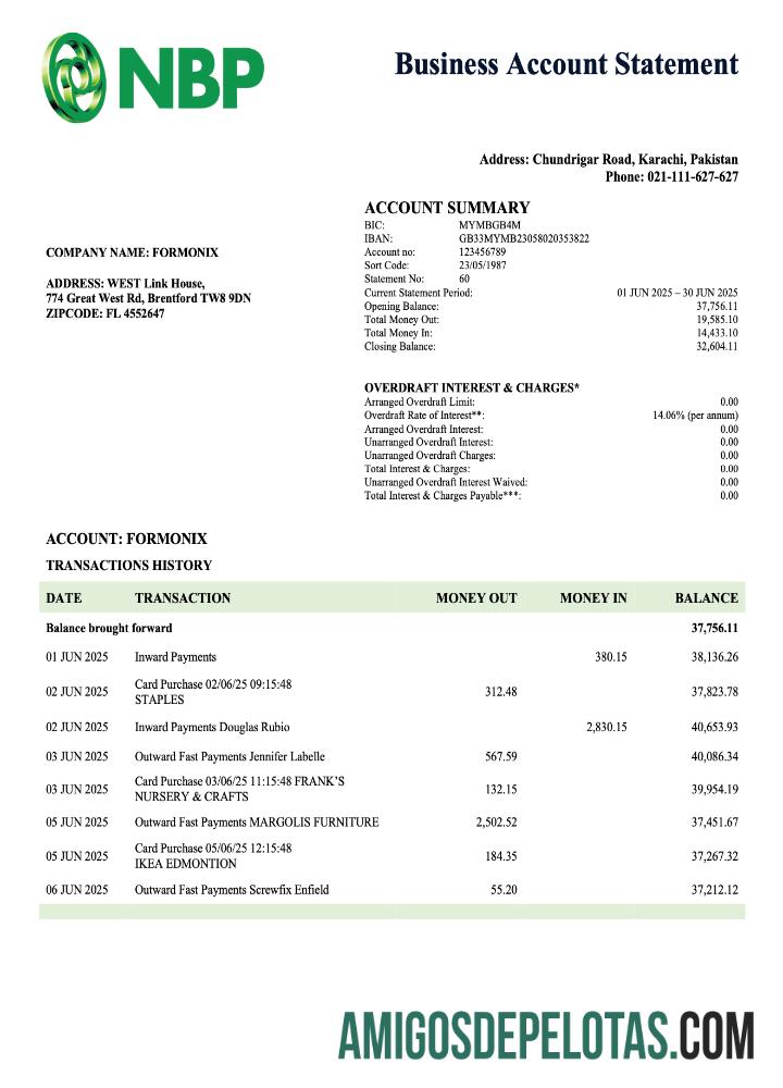 Baixável Paquistão NBP Business Checking modelo de extrato de conta Word e PDF